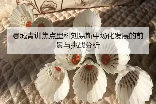 曼城青训焦点里科刘易斯中场化发展的前景与挑战分析 - kaiyun