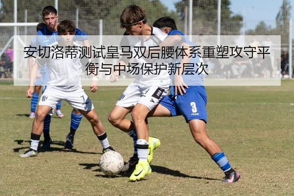 img_1783696637907_3388_1_689.jpg
